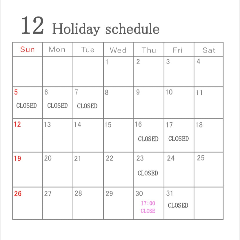 12 holiday schedule