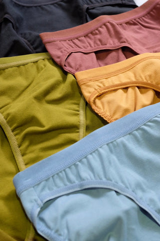 Briefs 007